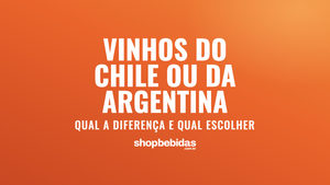 Vinhos do Chile ou da Argentina: qual a diferença e qual escolher