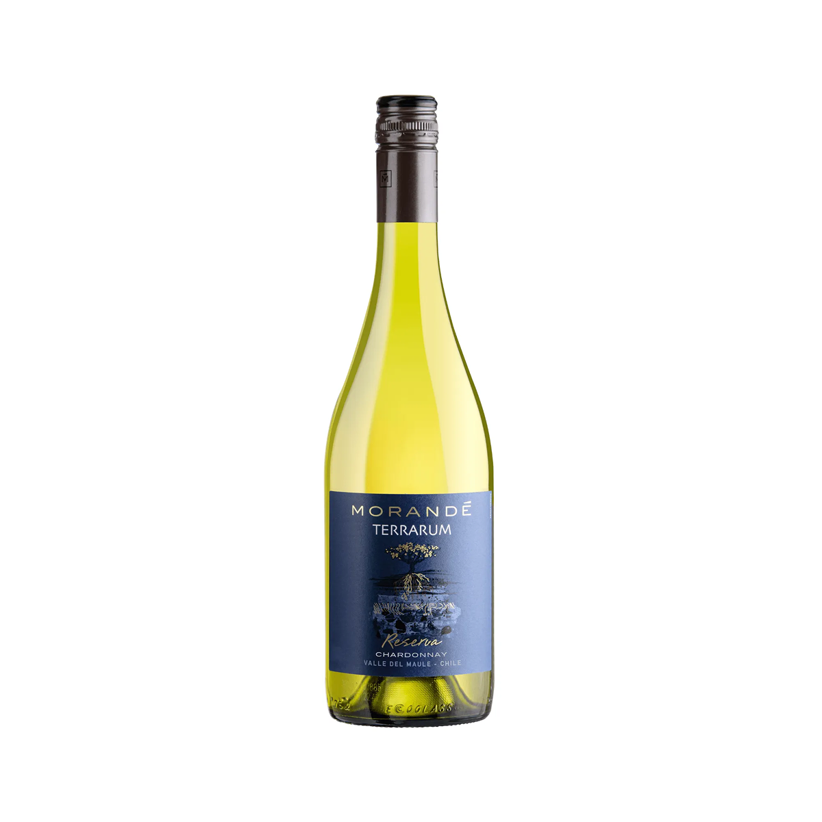 Garrafa de Morandé Terrarum Reserva Chardonnay 2024 750ml — vinho branco de Chile