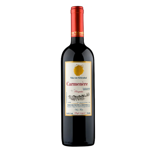 Garrafa de Von Siebenthal San Valentino Carménère 2021 750ml — vinho tinto de Chile